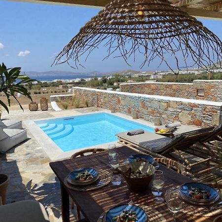 Villa Ypsilon Naxos - Luxury Holiday House With Amazing Sea View & Private Pool Agia Anna  Exterior foto